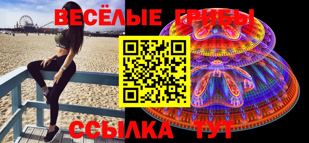 Псилоцибиновые грибы Cubensis Кемерово